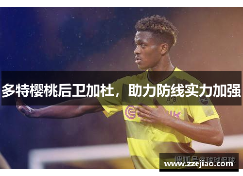 多特樱桃后卫加杜，助力防线实力加强